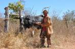 Vaqueiro no Vale do Peruaçu, próximo à Januária - MG