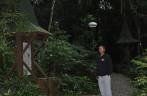 Visita ao Bosque do Alemão, em Curitiba Visita ao Bosque do Alemão, em Curitiba