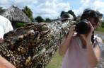 Visitando criadero de jacarés na Isla de la Juventud, em Cuba