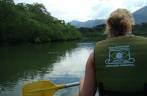 Vista do mangue no rio Guaraú, na Juréia - SP