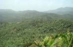 Vista do parque El Yunque, em Porto Rico