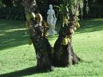 Arte nos jardins do museu Ricardo Brennand, em Recife - PE