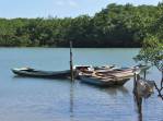 Canoas no rio Caraíva - BA