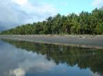 Orla de coqueiros na praia de Zancudo, no litoral Pacífico da Costa Rica