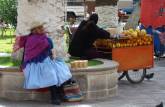 Chola da melhor idade descansa na Plaza de Armas, em Tarija - Bolívia
