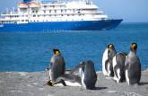 Pinguins rei observam o Sea Spirit em St Andrews Bay, na Geórgia do Sul