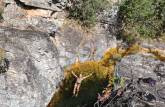 Poço no rio da Cachoeira Solitária na região do Paraíso Selvagem em Delfinópolis - MG