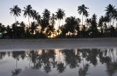 Pôr-do-sol entre coqueiros da praia de Bainema, próximo à Moreré, na Ilha de Boipeba - BA
