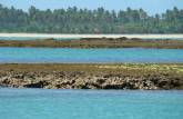 Recifes de Moreré, na Ilha de Boipeba - BA (praia de Bainema ao fundo)