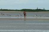Rodrigo em banco de areia, correndo atrás de pássaros na Barra do Ararapira