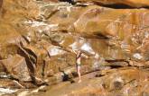 Tomando banho na Cachoeira do Tabuleiro, no Parque Estadual da Serra do Intendente, em Tabuleiro - MG