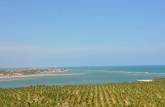 Vista do mirante da Praia do Gunga, em Barra de São Miguel - AL