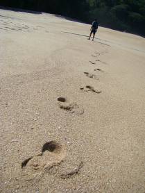 A bela Praia do Simão em Ubatuba - SP