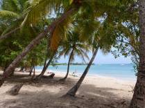 A bela praia Les Salines, em Sainte Anne, no sul de Martinica