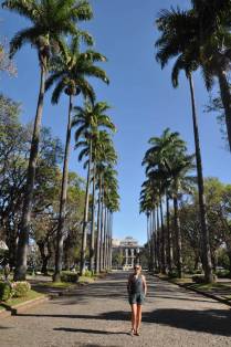Alameda das Palmeiras Imperiais, na Praça da Liberdade, em Belo Horizonte - MG
