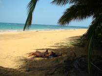 Ana aproveitando a sombra para ler sobre USVI, em para de Luquillo - Porto Rico