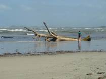 Caminhando até a Barra do Ribeira, em Iguape-SP