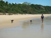 Caminhando com o casal de cachorros em Caraíva - BA