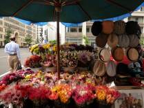 Caminhando pelas ruas de Washington, capital dos Estados Unidos