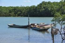 Canoas no rio Caraíva - BA
