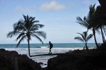 Equilibrando-se em coqueiro no caminho para Havaizinho, em Itacaré - BA