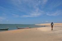 Margem do São Francisco pouco antes da sua foz, na divisa entre os estados de Alagoas e Sergipe (município de Piaçabuçu - AL)