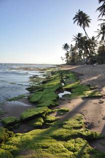 Maré baixa na Praia do Forte - BA