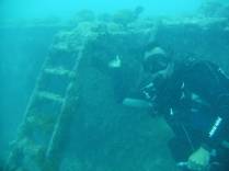 Mergulho no naufrágio Rosalina, em Abrolhos - BA