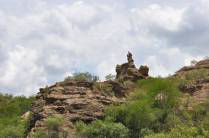 No topo de formação rochosa no Raso da Catarina, região de Paulo Afonso - BA