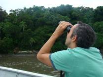 Observando papagaios na Ilha da Pinheira