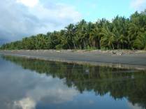 Orla de coqueiros na praia de Zancudo, no litoral Pacífico da Costa Rica
