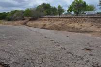 Pegadas de dinossauros, no Vale dos Dinossauros, em Sousa - PB