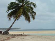 Praia de Carneiros, em Tamandaré - PE