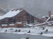 Praia repleta de lobos-marinho em Stromness, na Geórgia do Sul