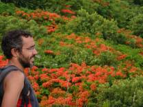 Época de flores em Pigeon Island, parque próximo à Rodney Bay, norte de Santa Lúcia