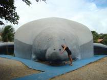 Visitando o Projeto Peixe-Boi, na ilha de Itamaracá - PE