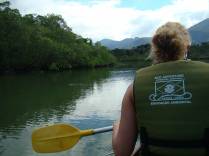 Vista do mangue no rio Guaraú, na Juréia - SP