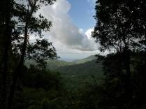 Vista panorâmica em trilha do Trois Pitons National Park, em Dominica