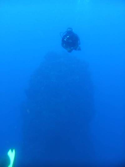 Deixando o enorme pináculo de 30 m para trás, durante mergulho na costa de Saba - Caribe Deixando o enorme pináculo de 30 m para trás, durante mergulho na costa de Saba - Caribe