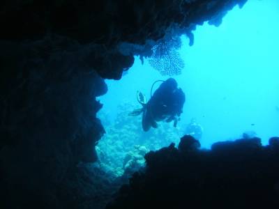 Explrando pequenas grutas e passagens durante mergulho em Tent Reef, na costa de Saba - Caribe