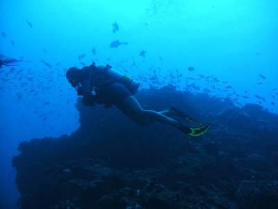 Início do 2o dia de mergulhos na costa de Saba - Caribe