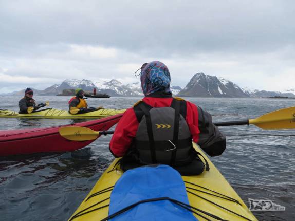 A Ana segue no banco da frente de nosso caiaque duplo, perto de Prion Island, na Geórgia do Sul