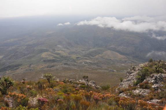 A bela vegetação do Pico do Itambé, na região de Capivari - MG