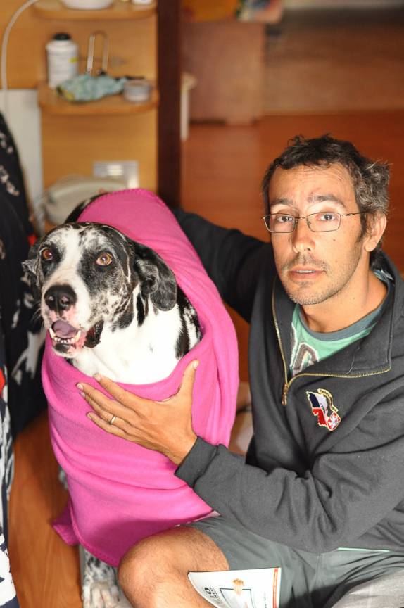 A Diana, que adoraria viajar com a gente