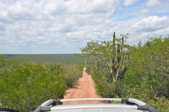 A Fiona nos leva através da caatinga para o Raso da Catarina, região de Paulo Afonso - BA A Fiona nos leva através da caatinga para o Raso da Catarina, região de Paulo Afonso - BA