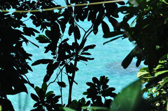 A primeira visão do mar da Praia do Sono, ao final da trilha, em Parati - RJ A primeira visão do mar da Praia do Sono, ao final da trilha, em Parati - RJ