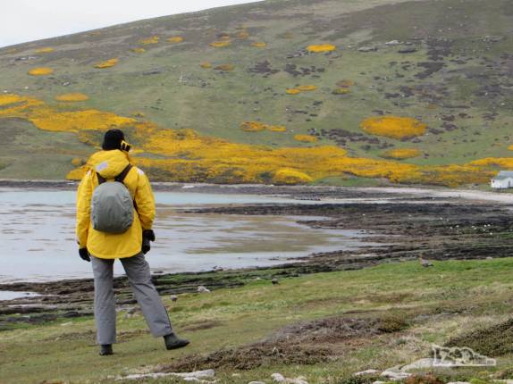 Admirando a belíssima paisagem de Carcass Island, no noroeste das Ilhas Malvinas Admirando a belíssima paisagem de Carcass Island, no noroeste das Ilhas Malvinas