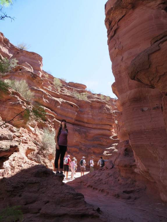 Admirando os rochedos durante nossa caminhada no Parque Nacional Talampaya, na Argentina Admirando os rochedos durante nossa caminhada no Parque Nacional Talampaya, na Argentina