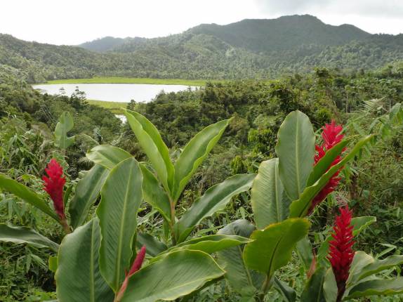 Antiga cratera vulcânica, hoje um lago no centro do parque Grand Etang, em Granada, no Caribe