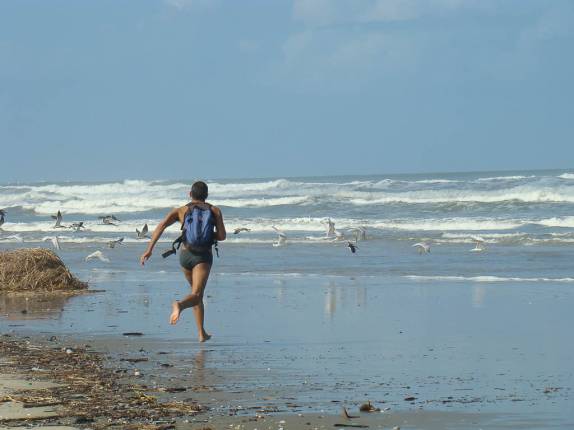 Apavorando os pássaros na praia do Ribeira em Iguape=SP